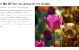 compare-image within content